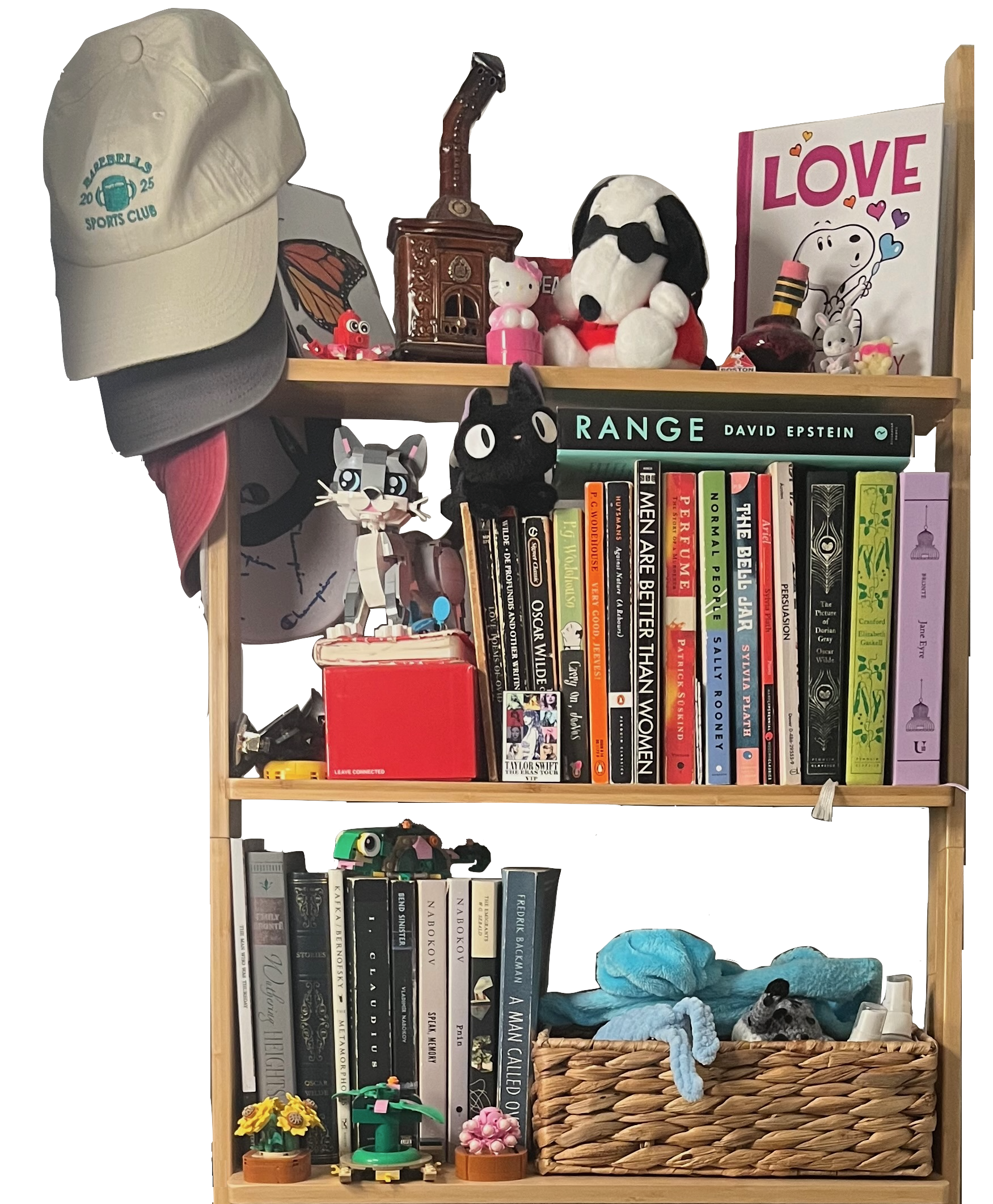 Bookshelf photograph
